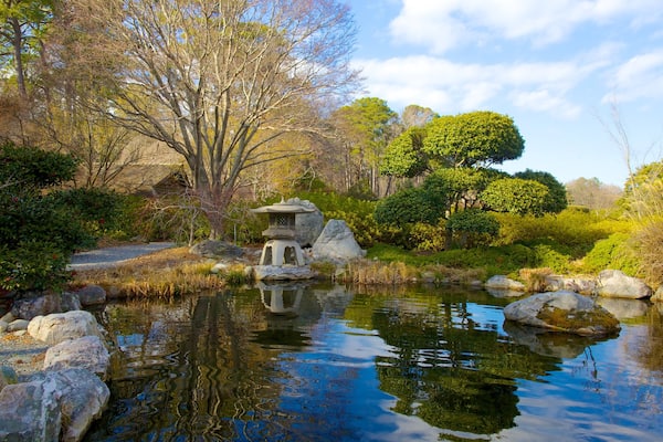 Norfolk Botanical Garden welches beinhaltet Teich, Landschaften und Garten