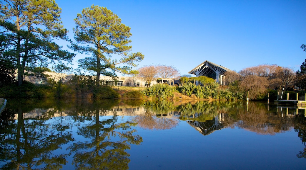 Norfolk Botanical Garden welches beinhaltet Landschaften, See oder Wasserstelle und Park