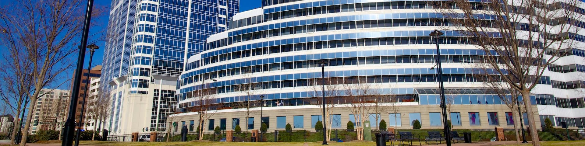 Town Point Park featuring a city, a park and modern architecture