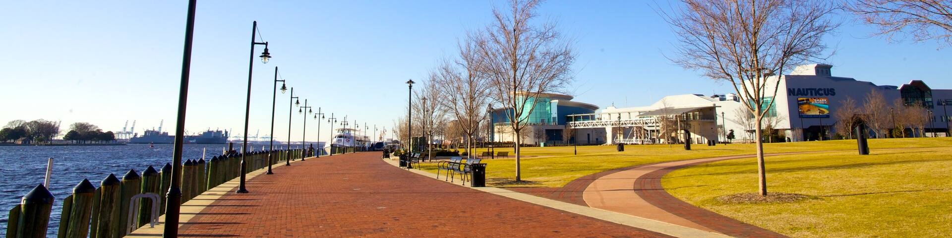 Town Point Park showing a garden