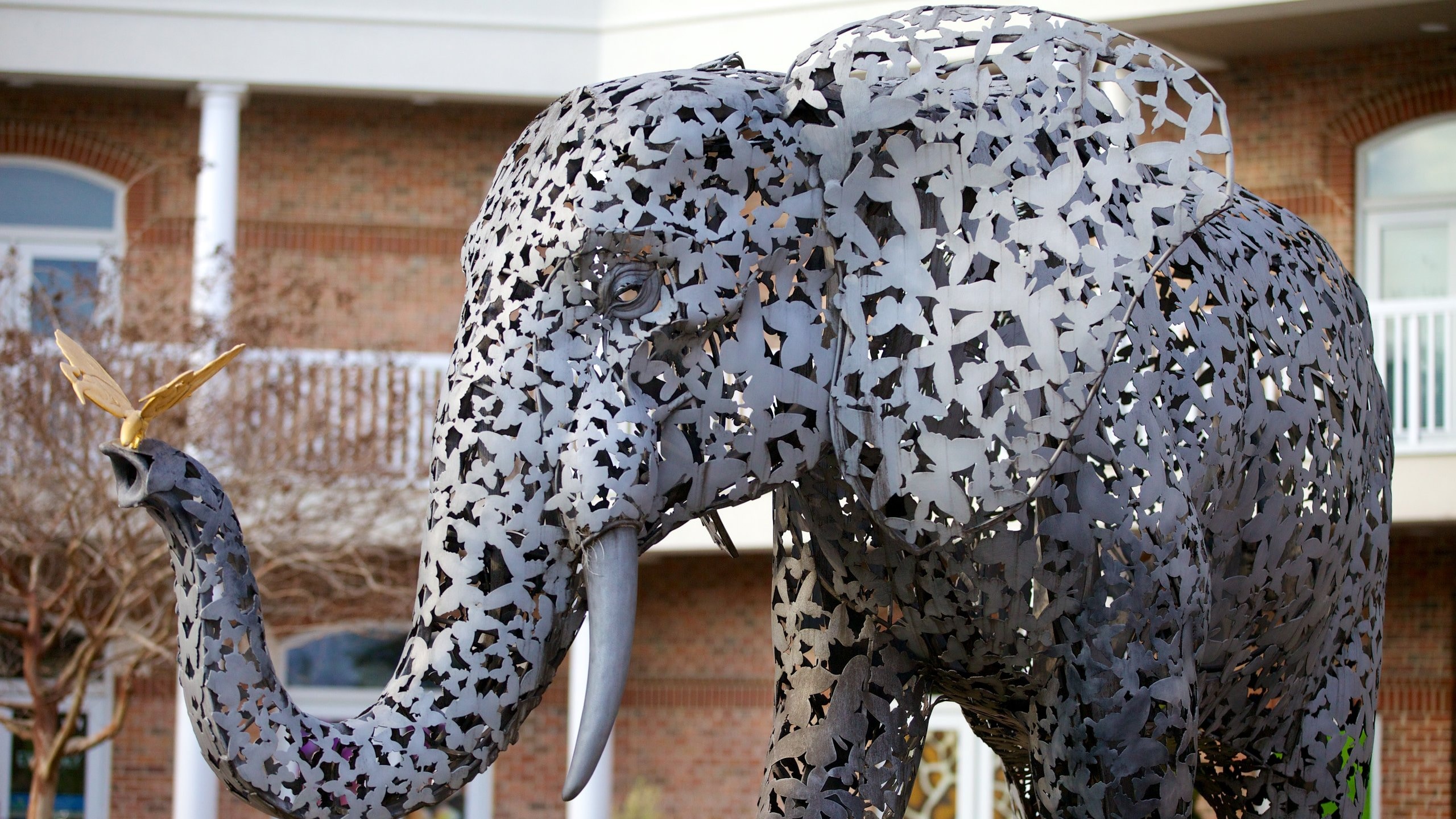 The Virginia Zoo | Norfolk VA, image size:2560x1440