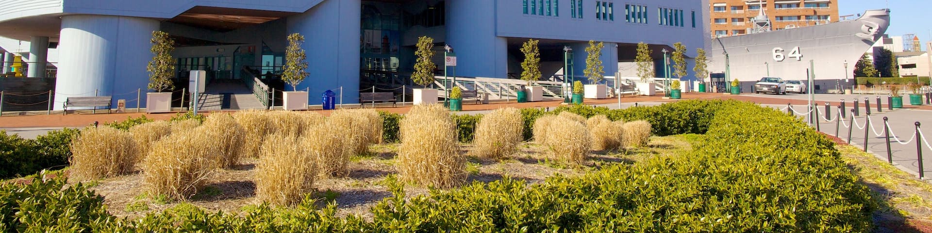 Nauticus National Maritime Center featuring modern architecture and a city