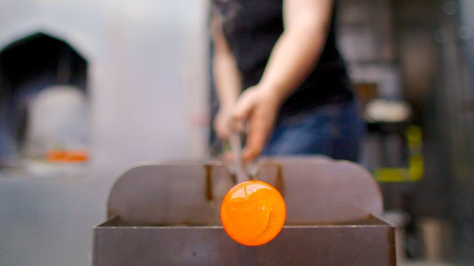 Chrysler Museum of Art som viser kunst og interiør