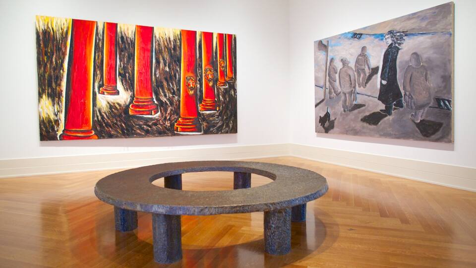 Virginia Museum of Fine Arts featuring interior views and art