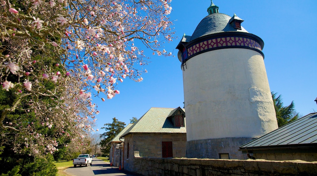 Maymont Park featuring heritage architecture and a garden