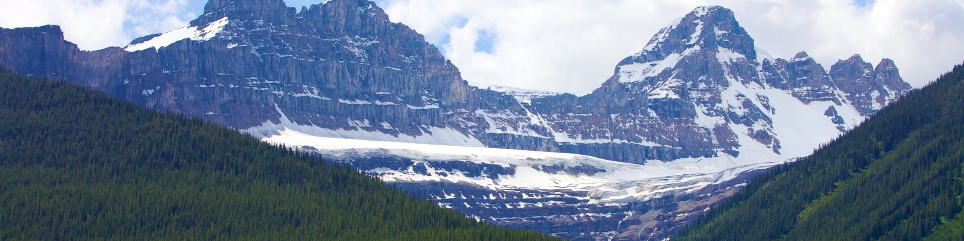 Columbia Icefield mettant en vedette montagnes, neige et paysages