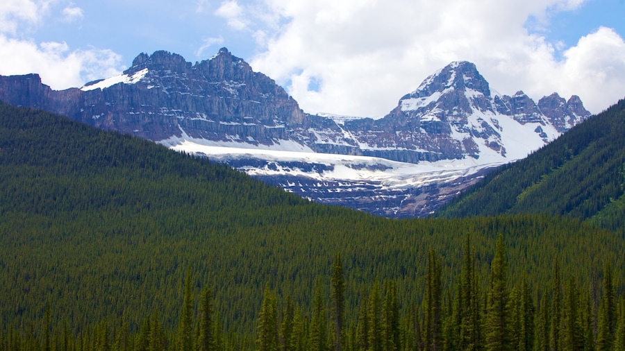 Columbia Icefield featuring snow, landscape views and mountains
