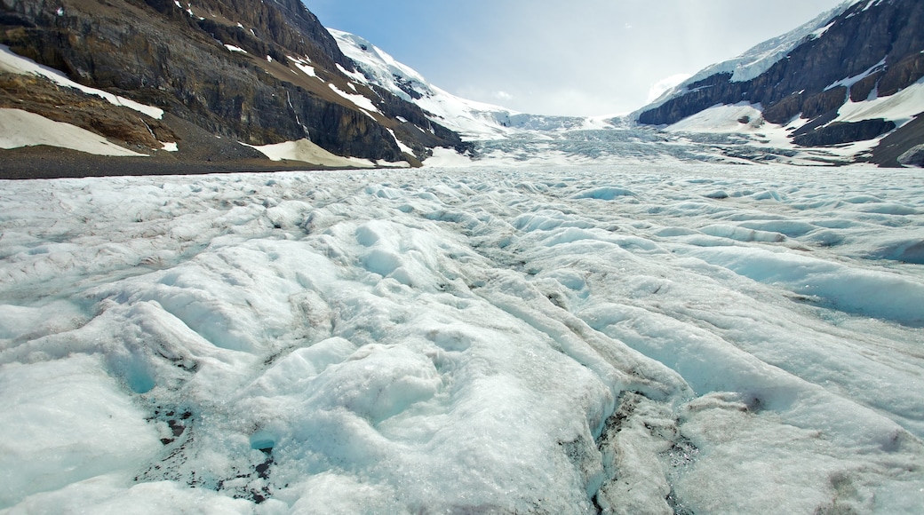 Columbia Icefield inclusief landschappen, bergen en sneeuw