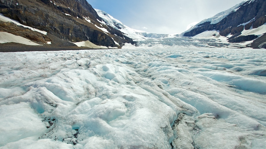 Columbia Icefield inclusief landschappen, bergen en sneeuw