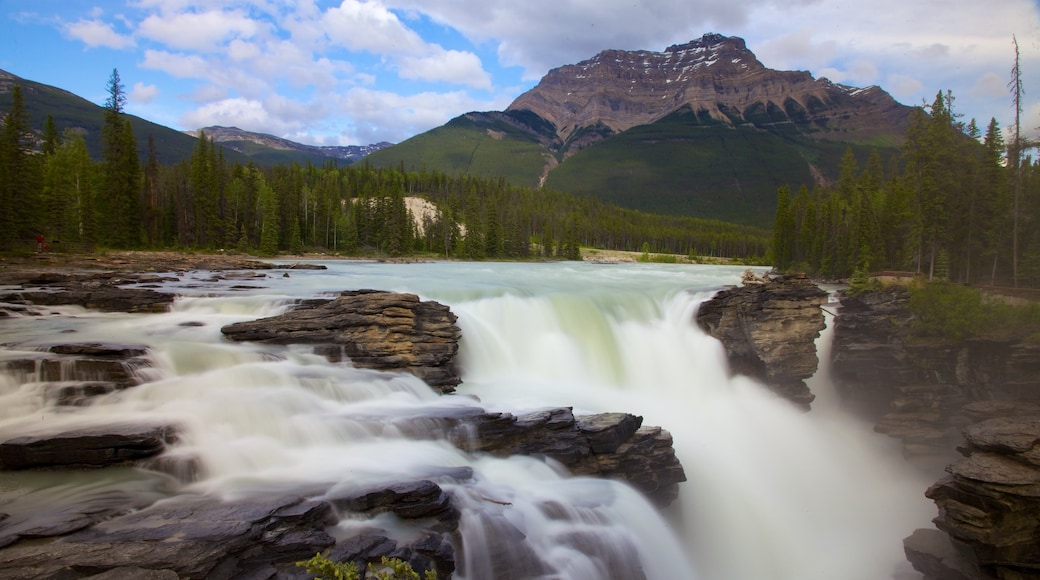 Athabasca Falls mostrando montañas, vistas panorámicas y una catarata