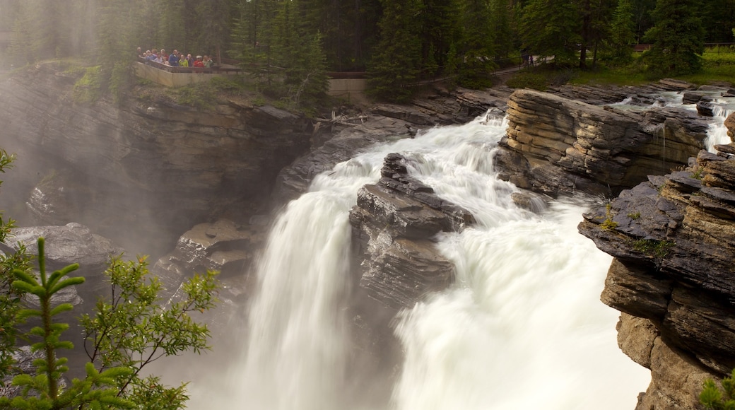 Athabasca Falls che include cascata e vista del paesaggio