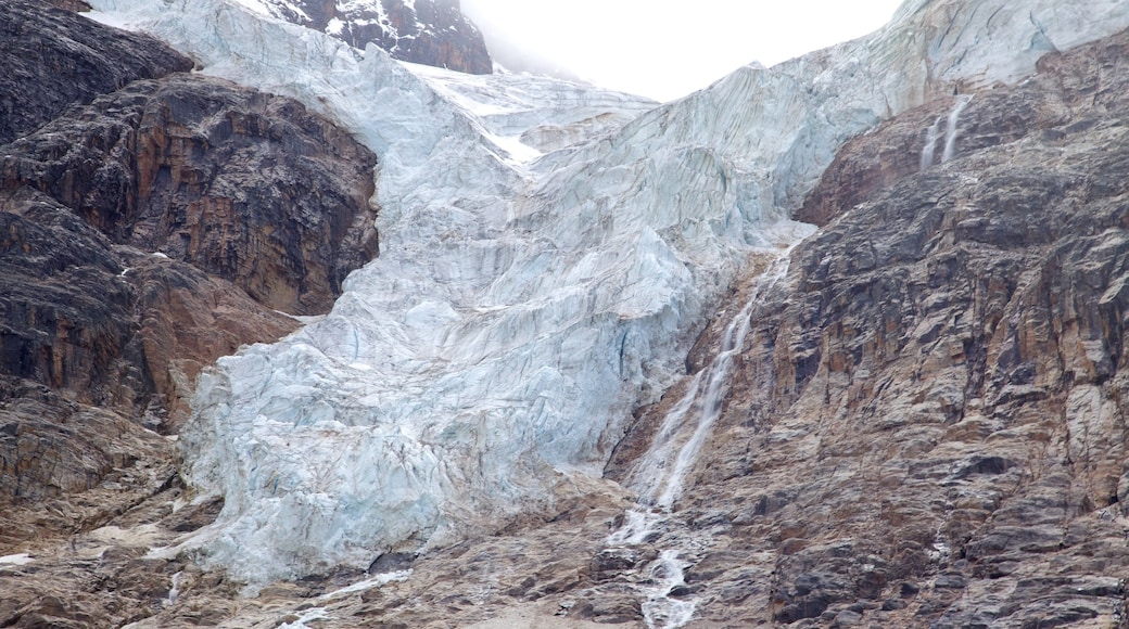 Mount Edith Cavell which includes landscape views and a gorge or canyon