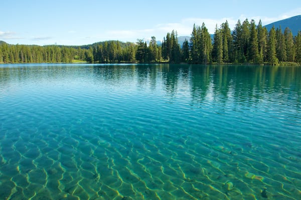 Jasper mettant en vedette forêts, lac ou étang et panoramas