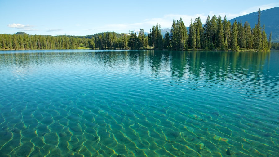 Jasper showing a lake or waterhole, landscape views and forest scenes