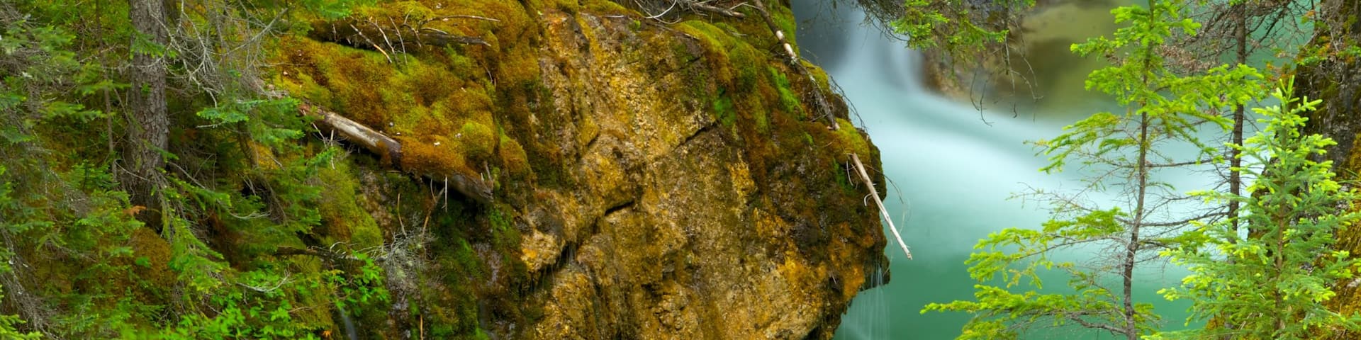 Maligne Canyon which includes a cascade, a river or creek and a gorge or canyon