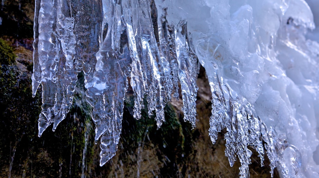 Maligne Canyon showing snow