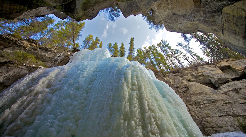 Maligne Canyon som inkluderar en ravin eller kanjon, en kaskad och snö