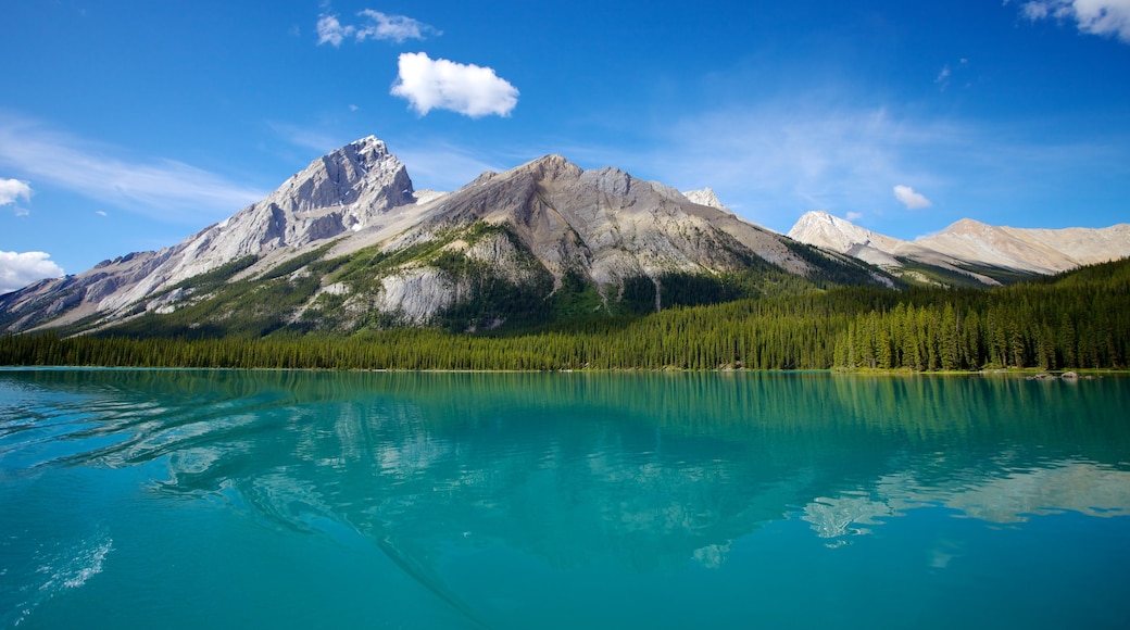 Maligne Lake featuring mountains and landscape views