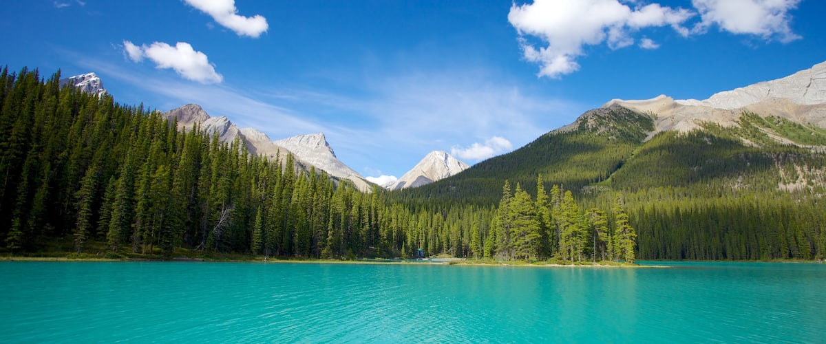 Maligne Lake featuring forest scenes, mountains and landscape views