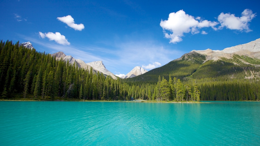 Maligne Lake mostrando montagna, paesaggio forestale e lago o sorgente d\'acqua