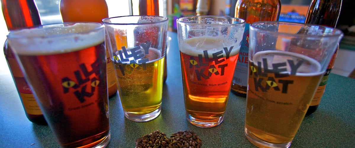 Alley Kat Brewery showing interior views and drinks or beverages