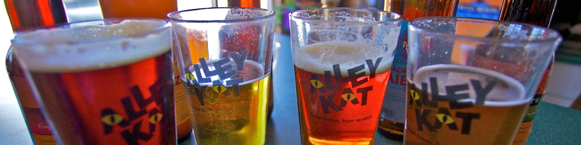Alley Kat Brewery showing interior views and drinks or beverages