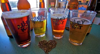 Alley Kat Brewery showing drinks or beverages and interior views