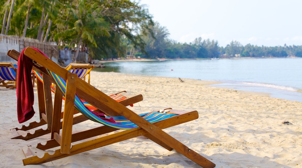 Koh Samui showing tropical scenes and a beach