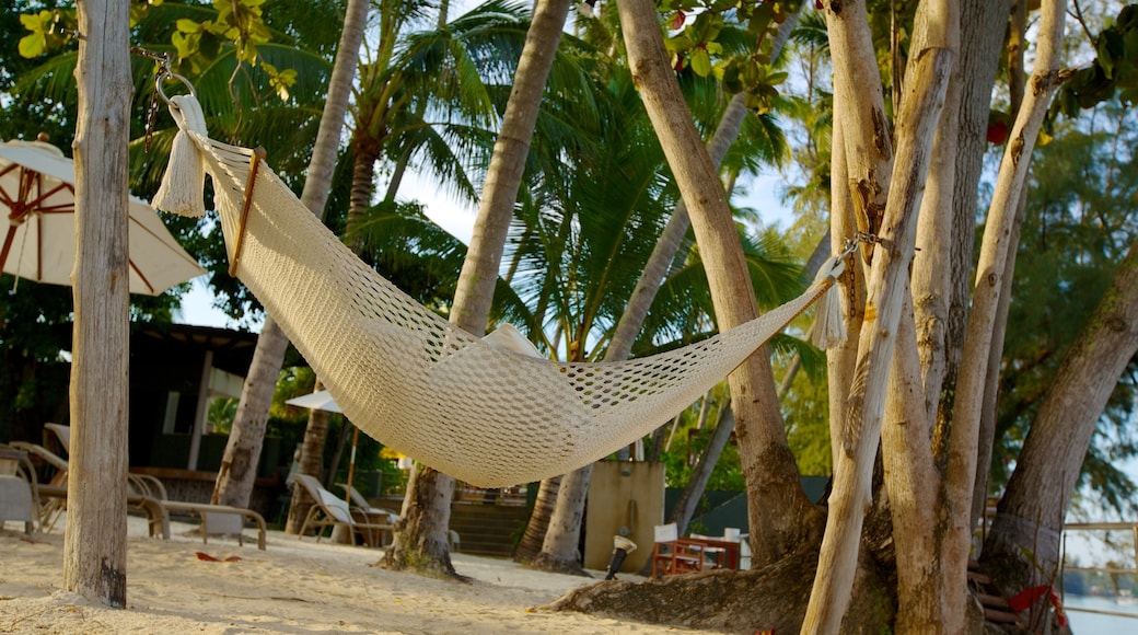 Koh Samui showing tropical scenes and a beach