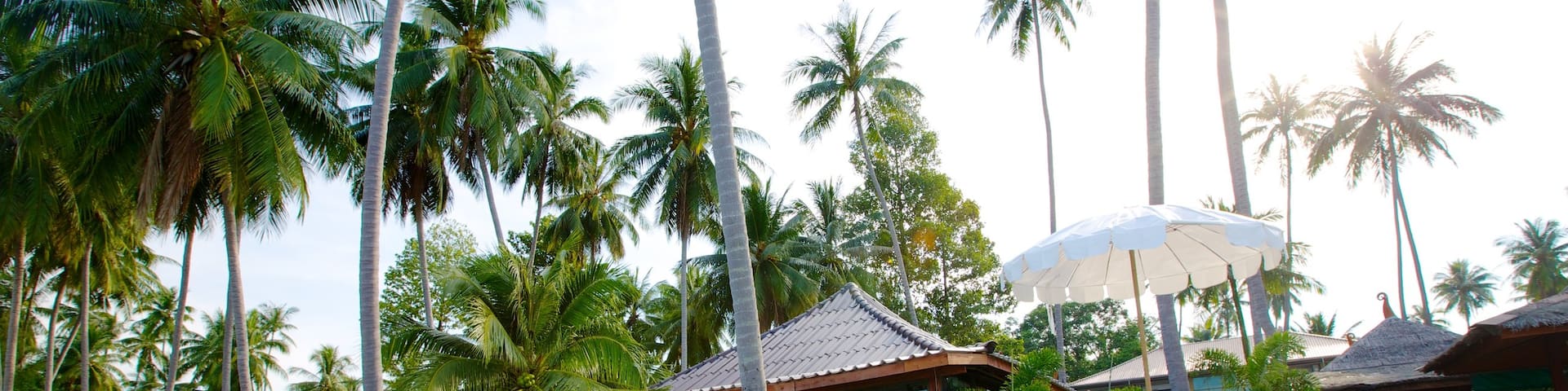 Ko Samui mettant en vedette scĂšnes tropicales et piscine