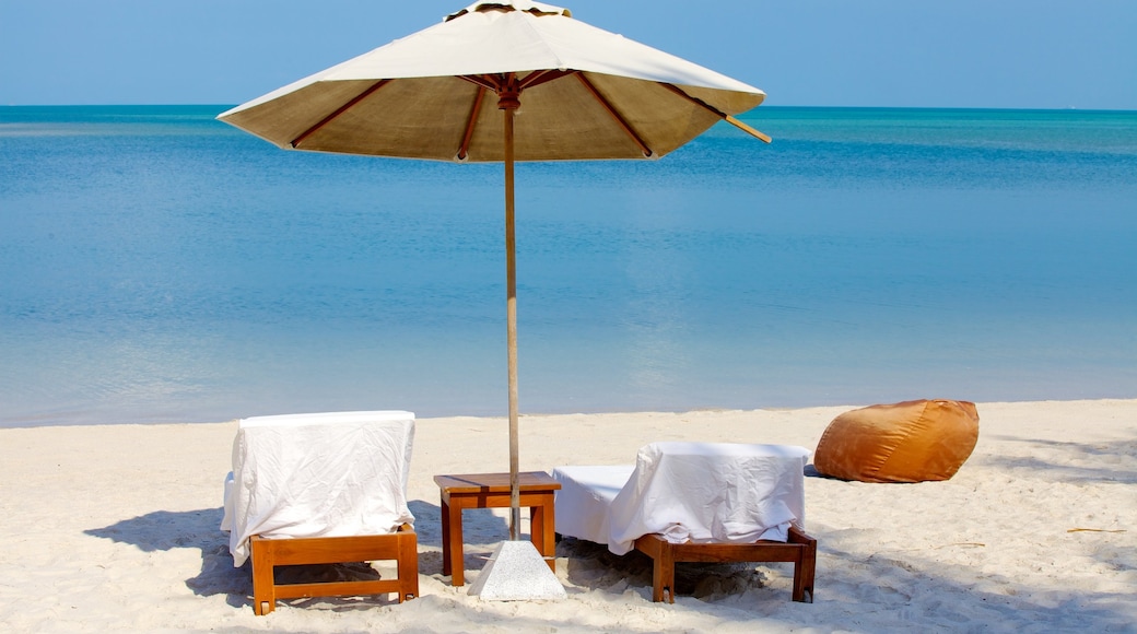 Pangka Beach showing a sandy beach and tropical scenes