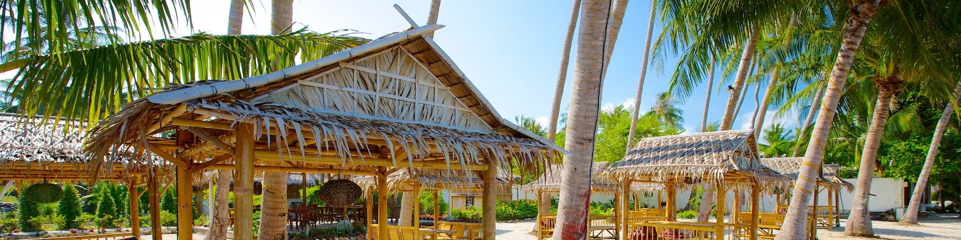 Pangka Beach presenterar en sandstrand, tropisk natur och landskap