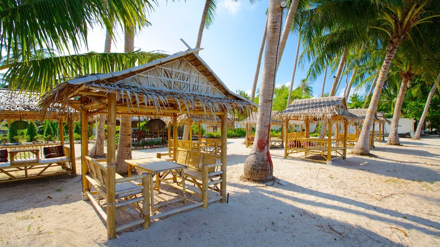 Pangka Beach showing tropical scenes, landscape views and a beach