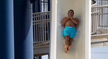Galveston Schlitterbahn Waterpark som visar åkattraktioner och ett äventyrsbad såväl som en man