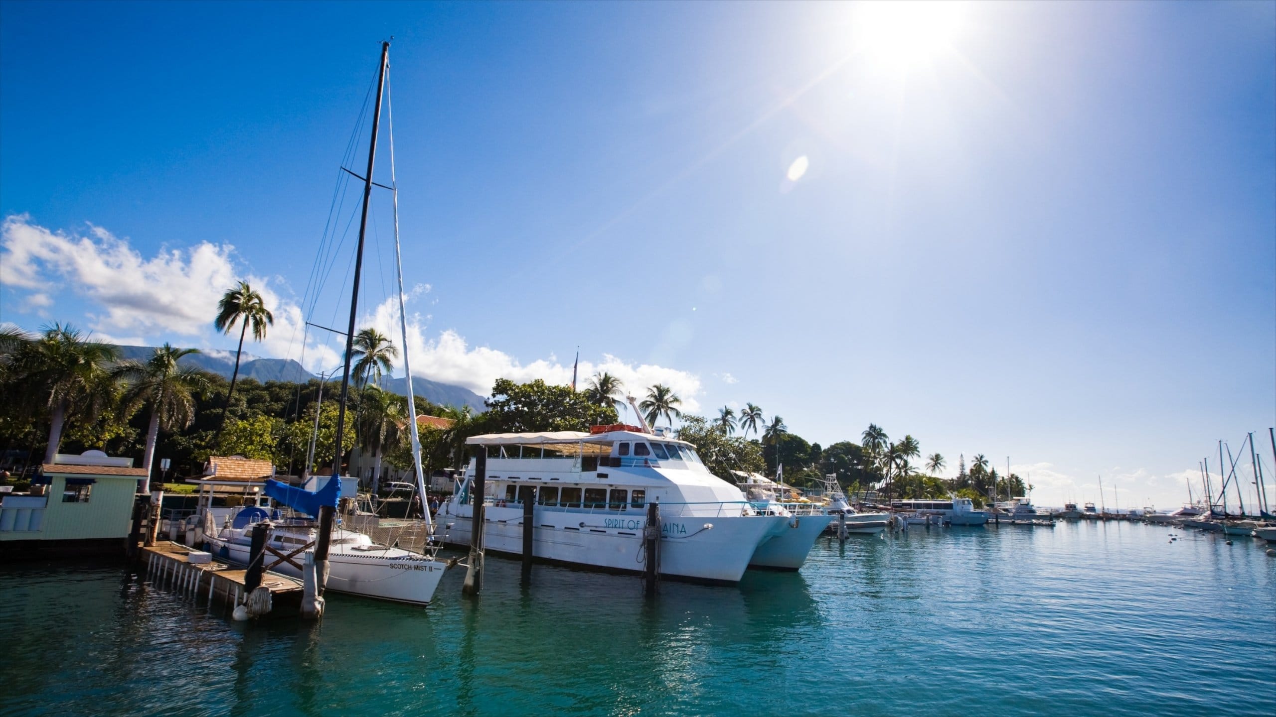 Lahaina que incluye una marina, una bahía o puerto y paseos en lancha