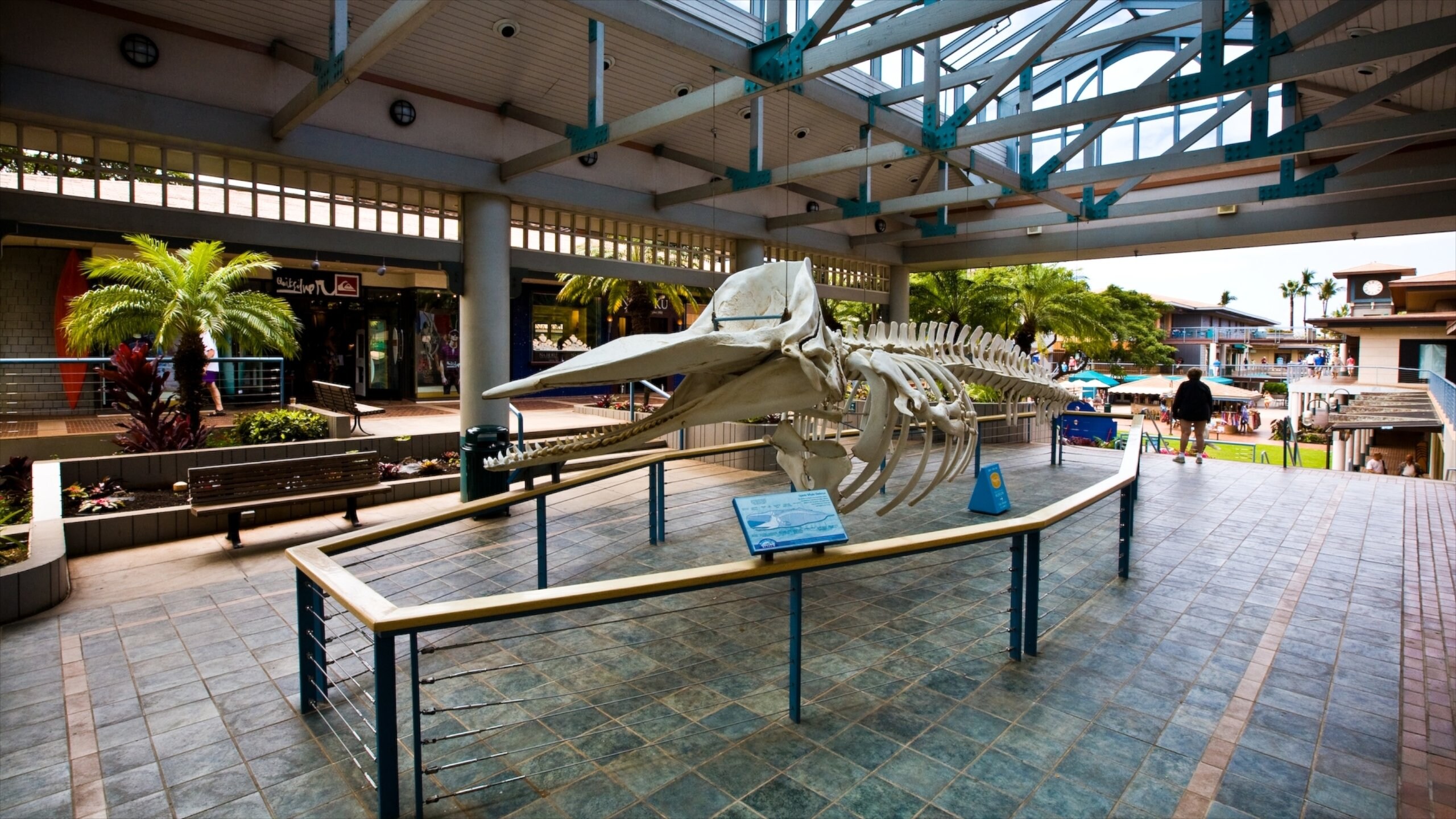 Visit Downtown Lahaina 2024 Downtown Lahaina, Lahaina Travel Guide