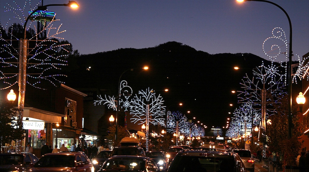 写真提供元 : Gatlinburg Convention and Visitors Bureau.