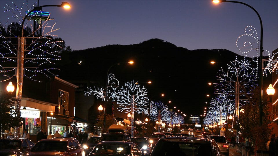 Gatlinburg showing night scenes, street scenes and a city