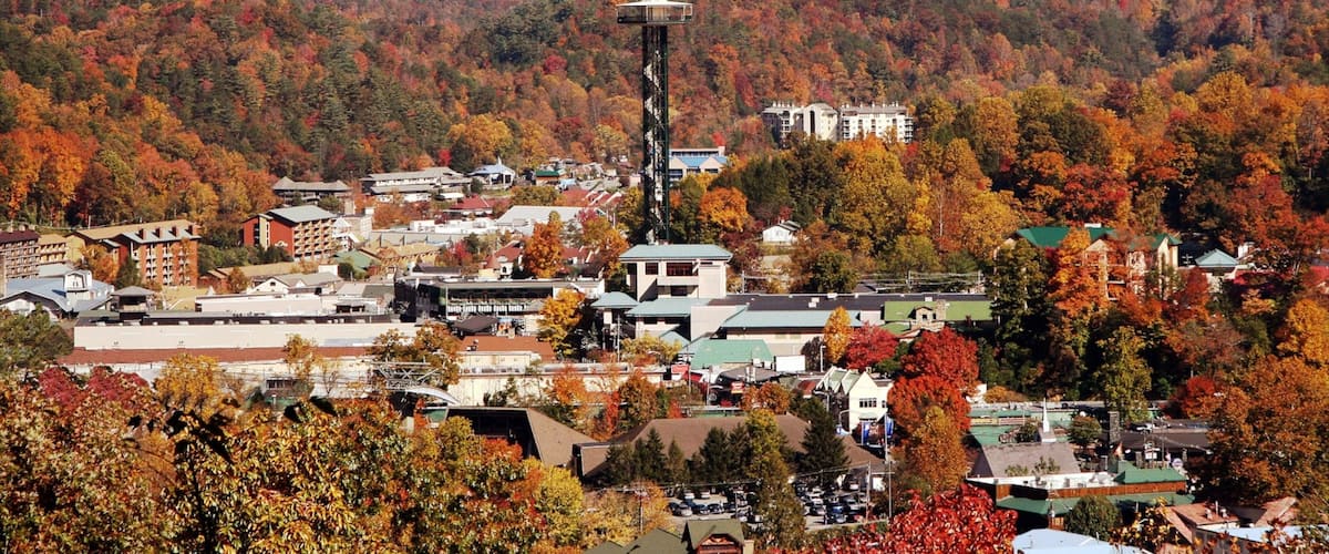 Gatlinburg showing a small town or village and forest scenes