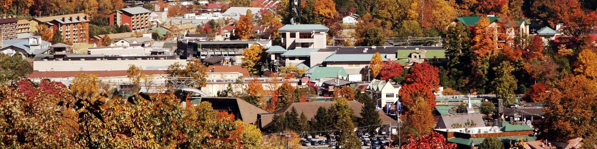 ガトリンバーグ 表示 小さな町あるいは村 と 森林の風景
