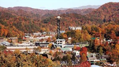 Gatlinburg ofreciendo escenas forestales y una pequeña ciudad o pueblo