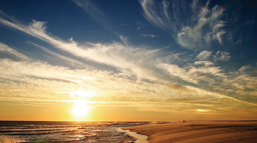 Foto proporcionada por © City of Chicago