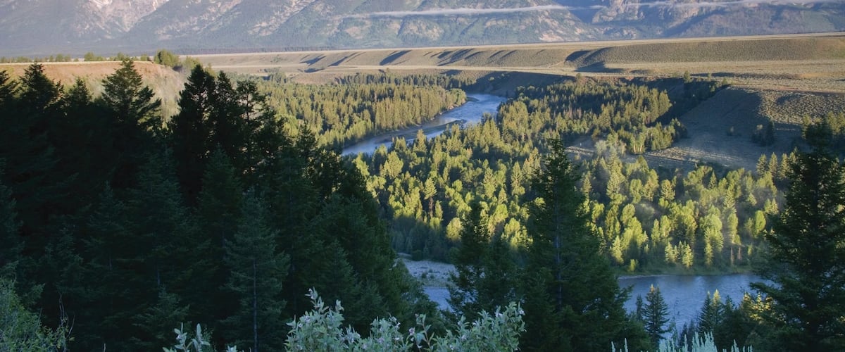 Jackson Hole ofreciendo vistas de paisajes, montañas y un río o arroyo