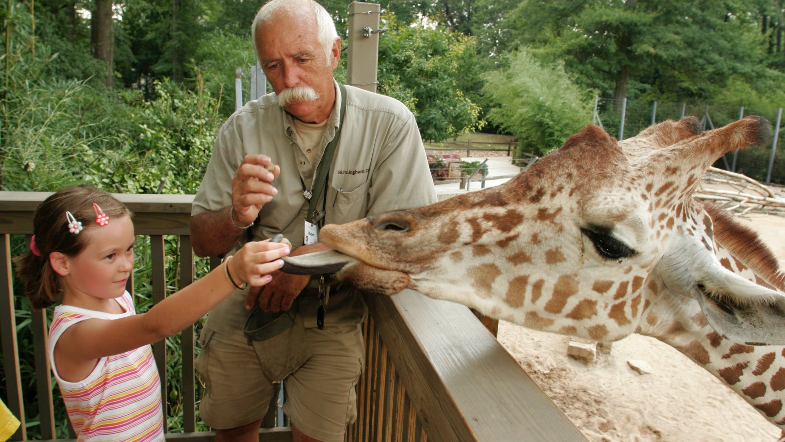 Birmingham mostrando animales terrestres y animales del zoológico y también un hombre