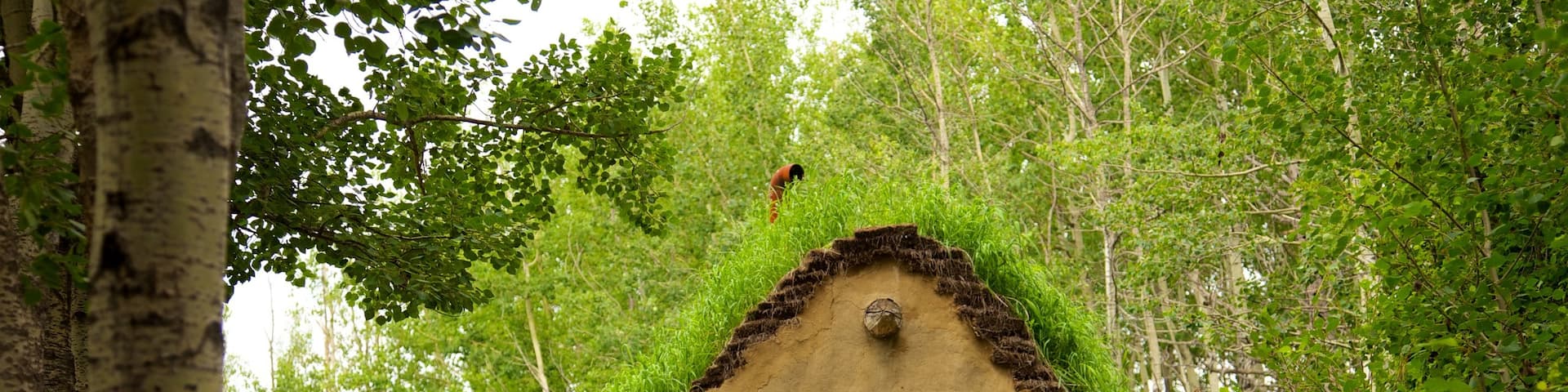 Ukrainian Cultural Heritage Village featuring heritage architecture and a house