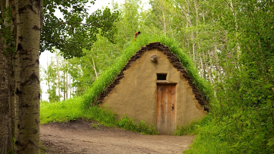Ukrainian Cultural Heritage Village mostrando architettura d\'epoca e casa