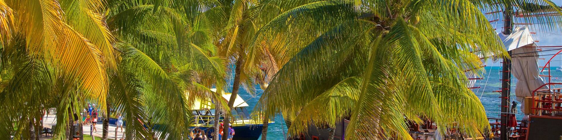 Linda Beach which includes tropical scenes and general coastal views as well as a small group of people