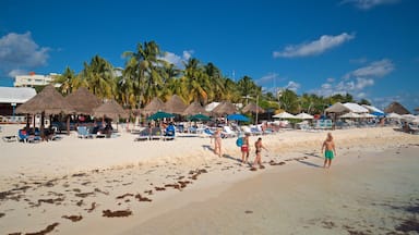 Playa Norte welches beinhaltet Sandstrand, tropische Szenerien und allgemeine Küstenansicht