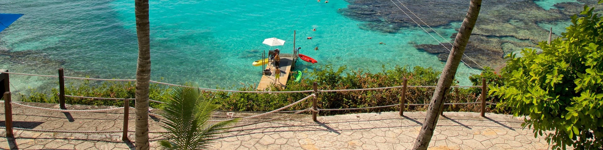 ガラフォン国立公園 どの含み 海岸線の眺め と 常夏の風景