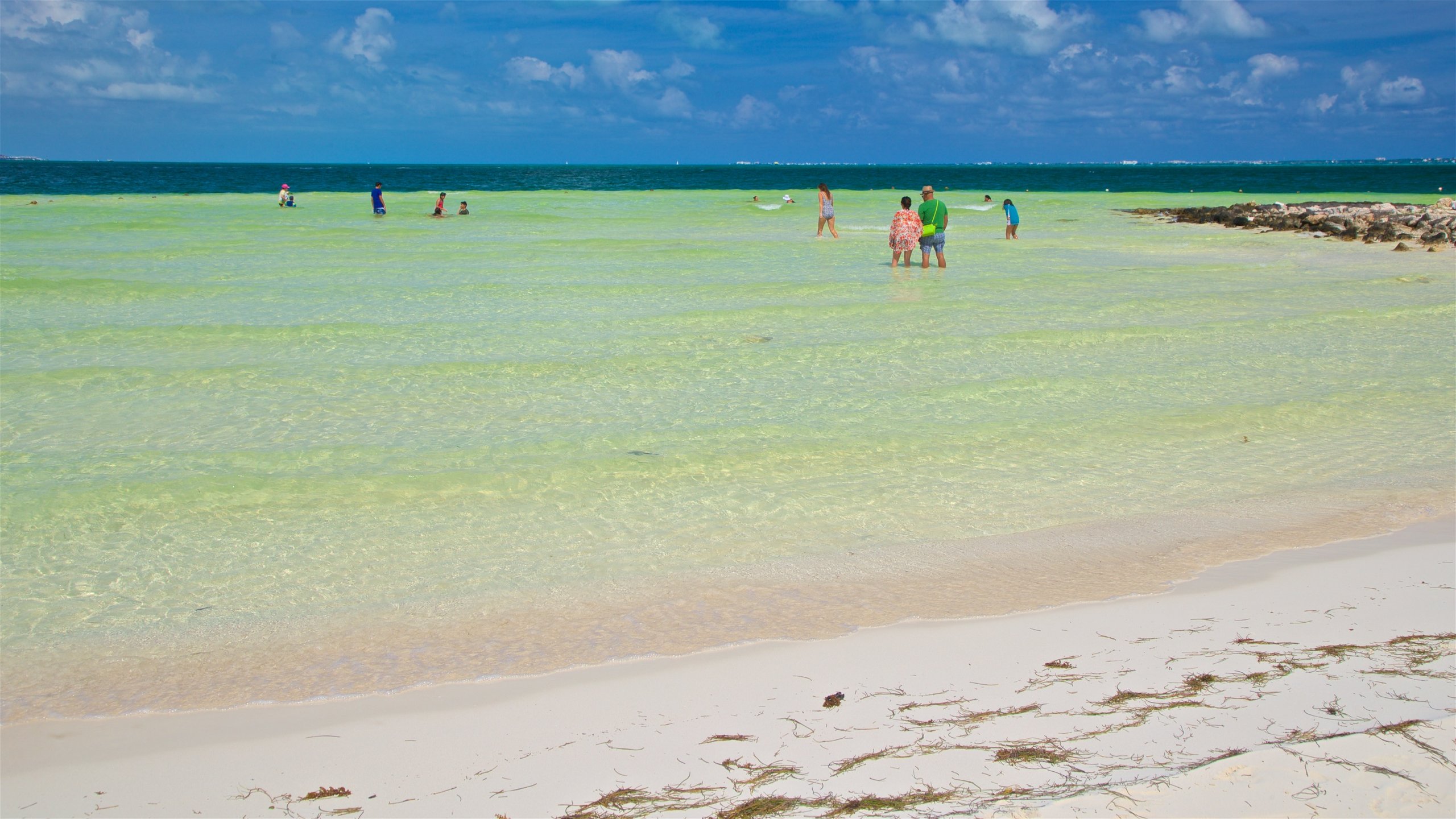 fiesta en la playa del caribe